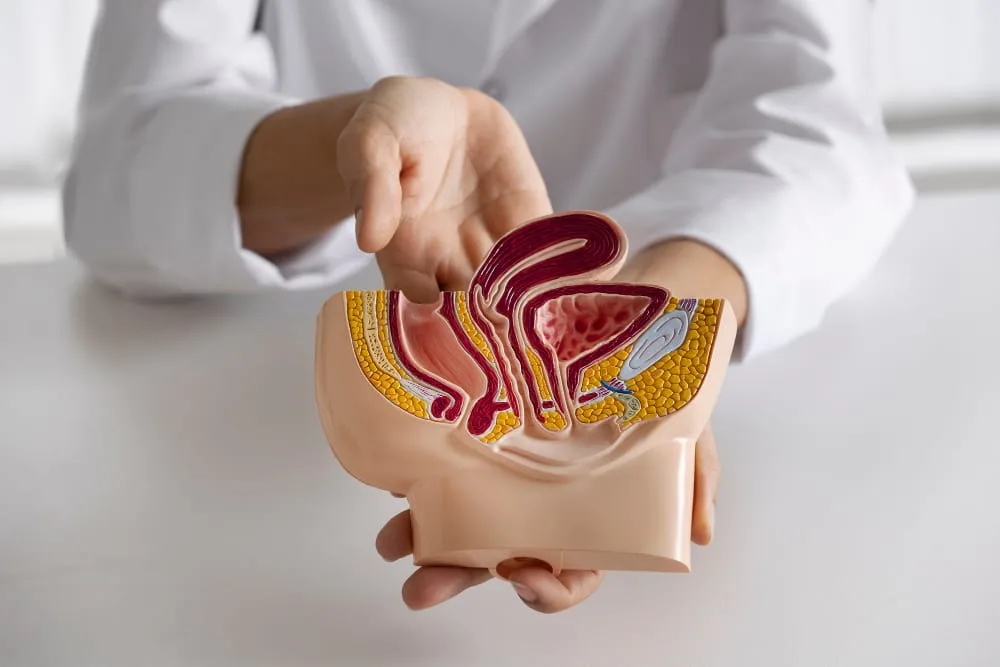Cancerul Colorectal